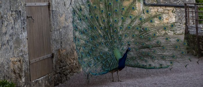 Marqueyssac