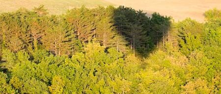 The Périgord in a hot air balloon